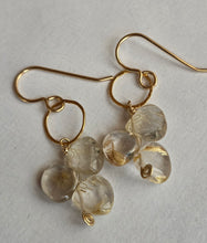 Load image into Gallery viewer, Simon &amp; Lulu Rutilated Quartz Brio Earrings
