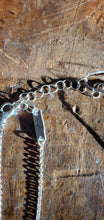 Load image into Gallery viewer, Colby June Sterling Silver  Mountain Brome Necklace
